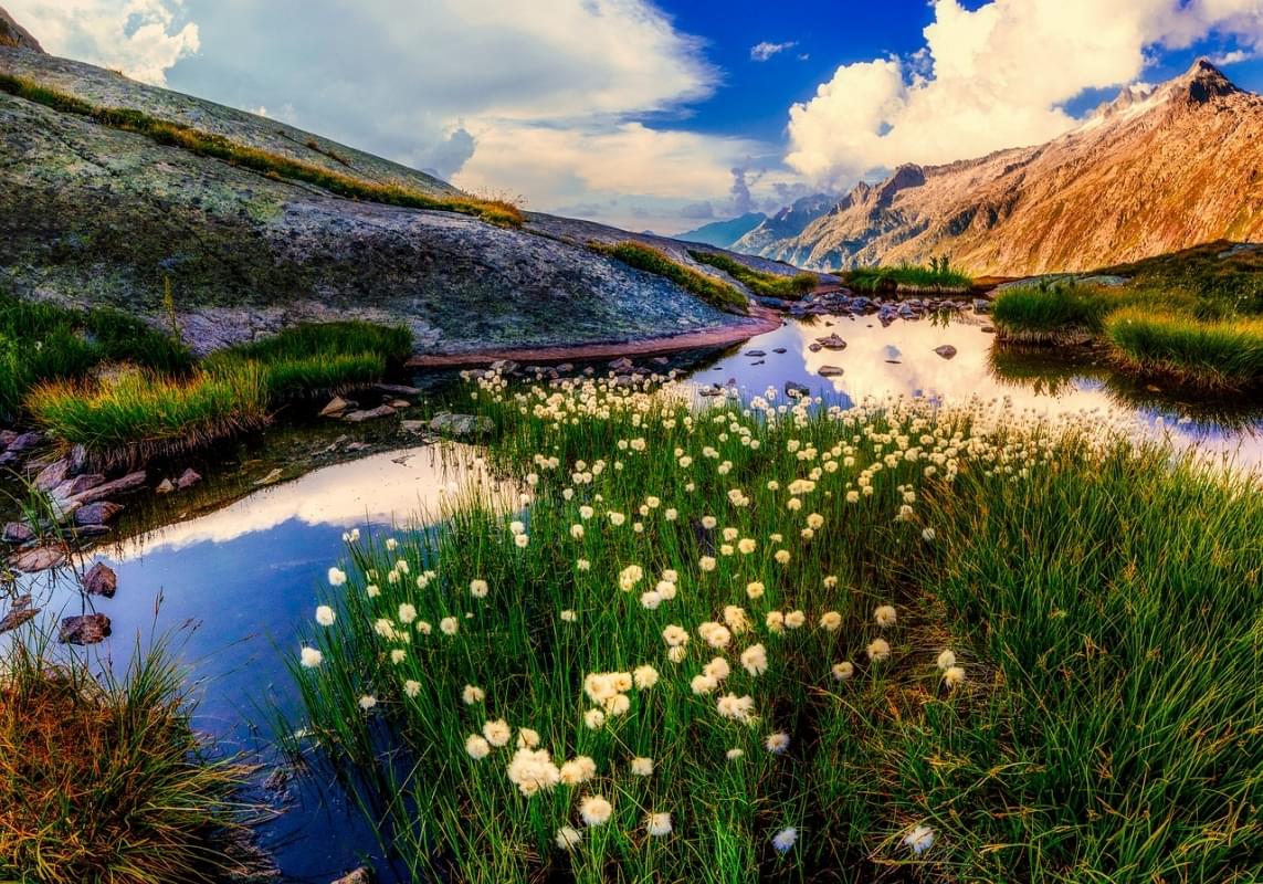 new zealand panorama