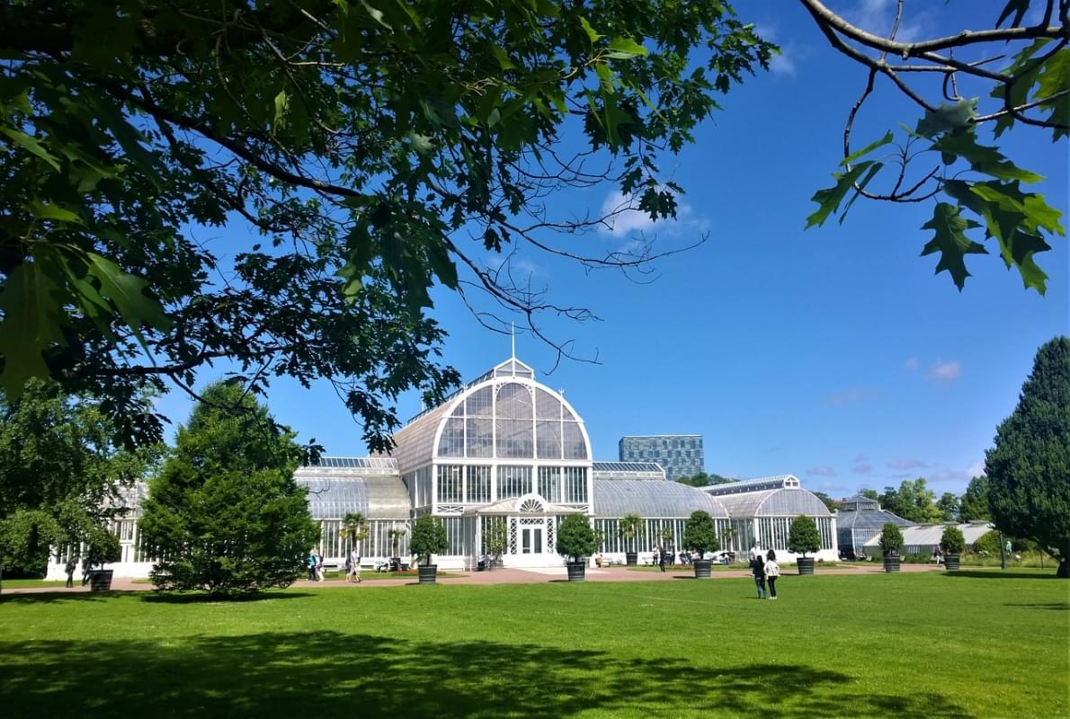 the palm house