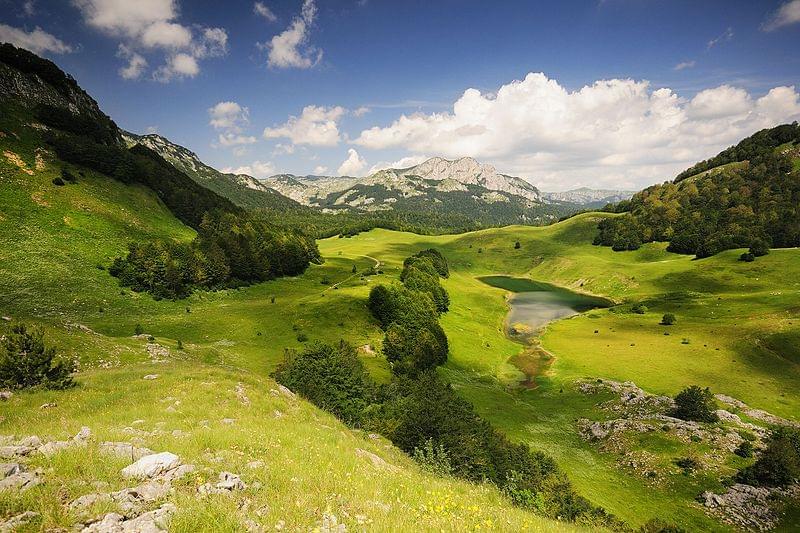 sutjeska dinaric national park