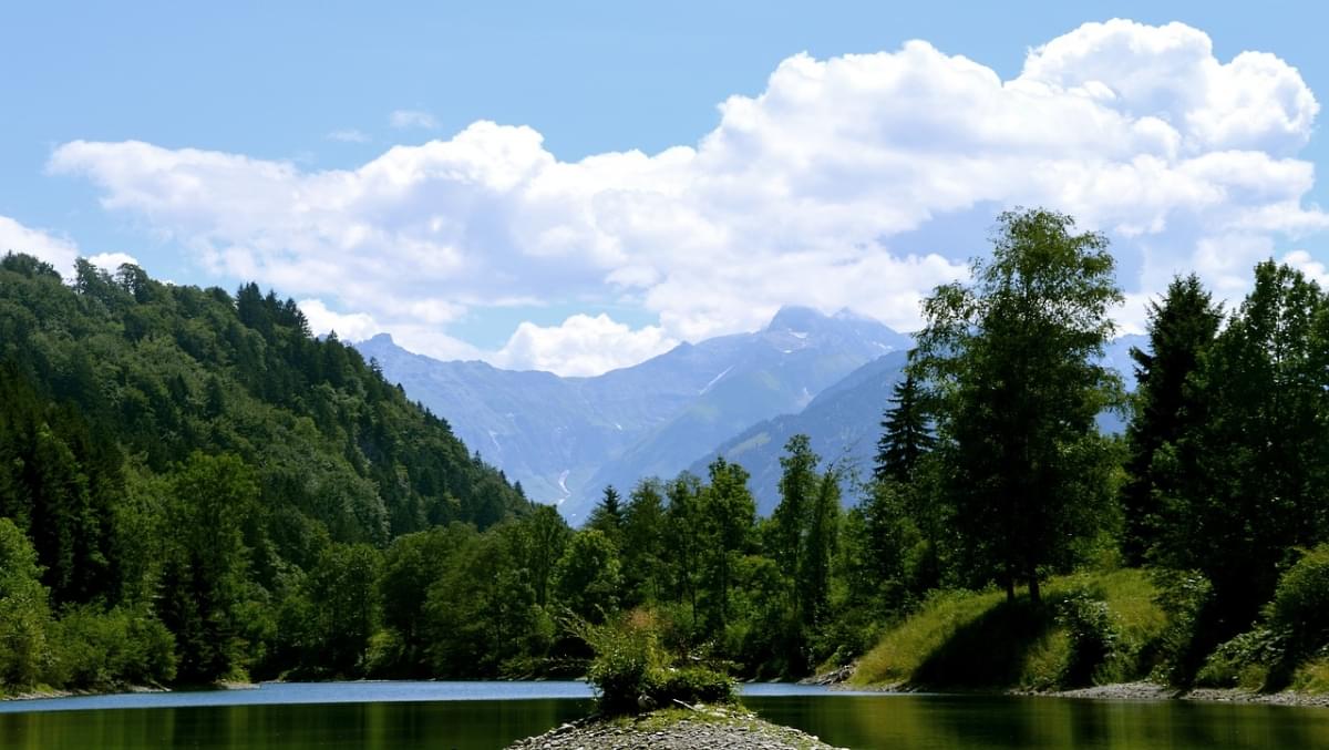 Auwaldsee Forest Lake Pond