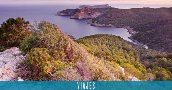 Cabrera, the barely known Spanish island that concentrates the greatest natural wealth of the Mediterranean