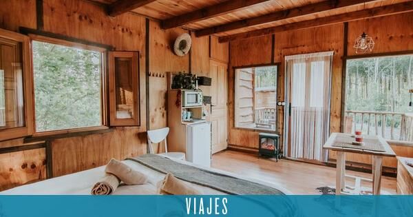 The best tree huts in Spain to sleep in nature