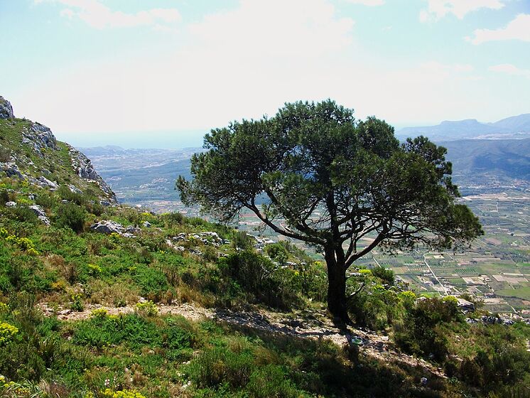 Environment of the campsite Los Llanos.